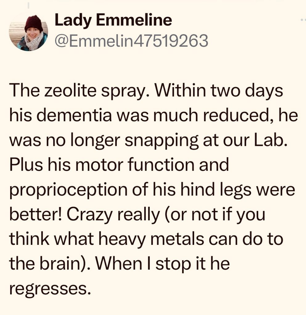 Dog-dementia